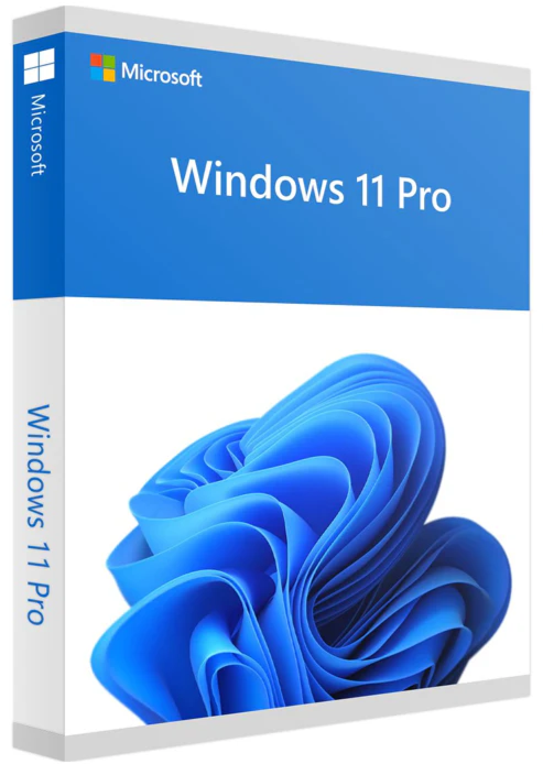 Windows 11 Professional OEM